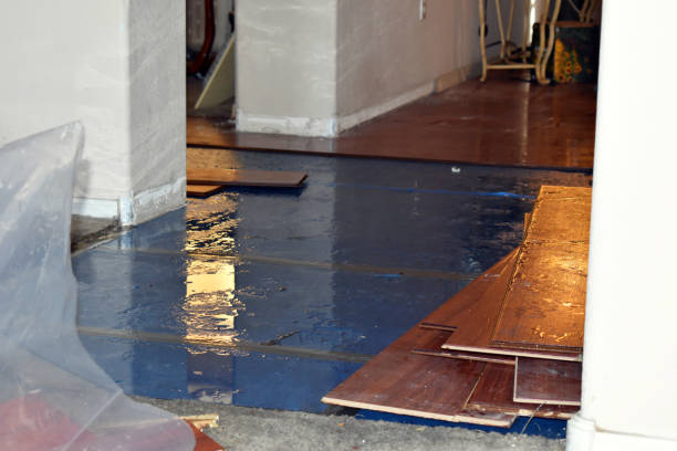 Professional Sewage Cleanup technician working in Quinlan, TX